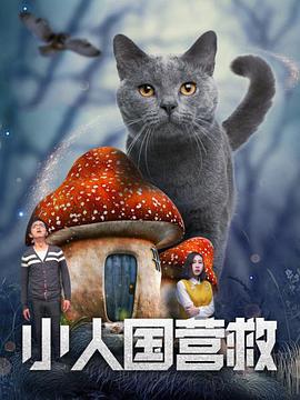 欧美绳艺vk